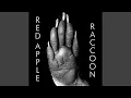 Download Lagu Raccoon
