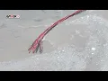 River Road collapse during flooding in Indianapolis