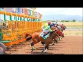 CAYMANAS PARK HORSE RACING TIPS - SATURDAY MARCH 14 2026