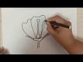 How to Draw structure of flower