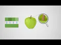 Compression - AQA GCSE Computer Science