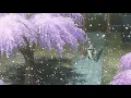 gintama opening 13 /𝕤𝕝𝕠𝕨𝕖𝕕 + 𝕣𝕖𝕧𝕖𝕣𝕓/ (Sakura Mitsutsuki - SPYAIR)