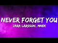 Lagu MNEK, Zara Larsson - Never Forget You (Lyrics)