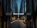 Download Lagu The Curious Law of Silence in Finland