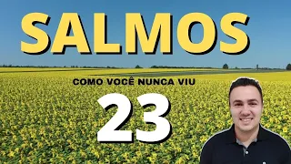 salmos 23 todos os vers culos com explica o 