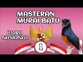 Download Lagu masteran handal murai batu super medan