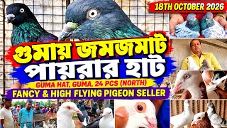 গুমা হাটে পায়রার দাম 🕊️দাম কম সেরা পায়রা 🕊️ Guma Pigeon Market Visit, Guma, 24 Pgs (N)🦜18/10/26