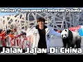 Lagu Jalan Jalan Di China Liat Panda Sampai Tournament Esport HOK Terbesar Didunia 2025