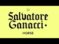 Salvatore Ganacci  - Horse (Cityzen Remix) [Official Audio]