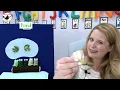 Frogs and Toads - Exploring Pond Amphibians in Online Virtual Preschool Circle Time Class