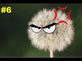 ANGRY DANDIELION - Terraria