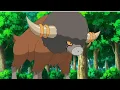 Bouffalant Pokemon all Attacks
