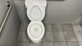 Brand New Project Source ProFlush Toilet