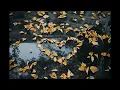 Evdeki Saat - Uzunlar V1 [1 SAAT]