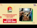 Sunset Veterinary Clinic