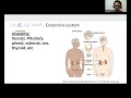 Organ Systems Made Easy