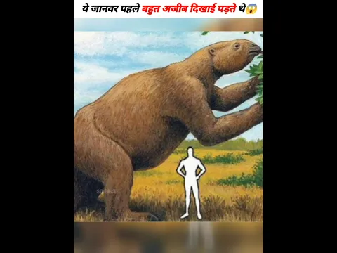 ये जानवर पहले बहुत अलग दिखाई पड़ते थे😱#shorts