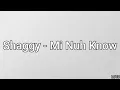 Shaggy - Mi Nuh Know (Lyrics Video)