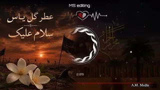 نوحه کامل هزارگی   عطر گل یاس سلام علیک     به سبک هوش مصنوعی       محرم    مذهبی    مداحی  دندنها