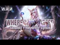 Download Lagu NCS MUSIC AMV - Where We Started ( Slowed + Reverb + Lyrics )