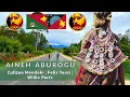 Download Lagu AINEH ABUROGU (2022) - Cullzen Mendaki \u0026 Felix Yausi ft Willie Parix [Momase Music]