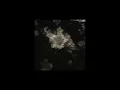 The Stranglers - Golden Brown (Slowed + Reverb)