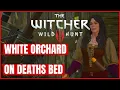 The Witcher 3 Wild Hunt - On Deaths Bed Quest Walkthrough and All Endings