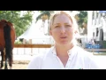 Barn Manager