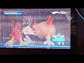 petok si ayam kampung