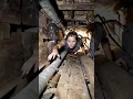 Download Lagu AUSTRALIAN WOMAN Encounters Abnormally Large Huntsman Spider in Crawlspace! #onlyinaustralia #spider