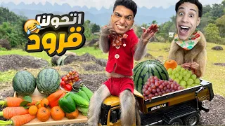 انا وصديقي ام كامل تحولنا الي قرود عشان نطلع علي اعلي قمه جبل في العالم 🙈😂 🙉 | roblox