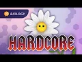 Plant Anatomy Physiology Plants Are Hardcore Crash Course Biology