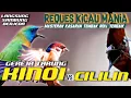 Lagu MASTERAN KOMBINASI KINOI GEREJA TARUNG VS CILILIN PANJANG || CUCAK KINOI GEREJA TARUNG CILILIN