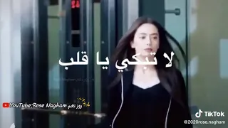تحت قميصي قلب حالات واتس أب حسام جنيد دندنها