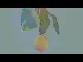 Lemon/ Kenshi Yonezu  - lyrics [Kanji, Romaji, ENG]