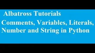 Comment Variables Literals Numbers and Strings in Python Python Tamil Tutorial