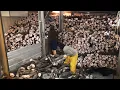 Amazing Antarctic Toothfish Fishing - Chilean Sea Bass Catch By Modern Vessel