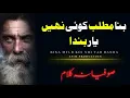Lagu BINA MATLAB KOI NAI YAAR HONDA | Kalam Baba Bulleh Shah بنا مطلب کوئی یار نئیں ہوندا (بابا بلھے شاہ)