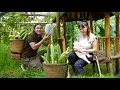 Download Lagu Harvesting luffa to sell at the market, earning money to buy baby items – Farm life, SURVIVAL ALONE