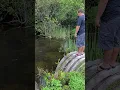 Download Lagu Alligator SCARE!! Florida Everglades Never Fails to Amuse and Terrify 😳