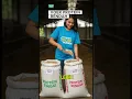 Download Lagu VOER PROTEIN TINGGI vs RENDAH:Mana yang BIKIN MURAI GACOR ASLI? #MuraiBatu #PakanMurai #ProteinMurai