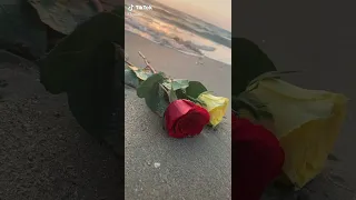 هيجت ذكراك حبي واستبدبه الحنين 