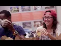 2017 MSRP General Highlights MIT Summer Research Program