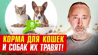 Какая отрава лежит в кормах для кошек и собак?