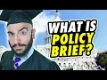 What is a Policy Brief