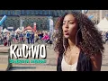 Download Lagu KECEWA || KUCIWA - SHEREFA YORKS