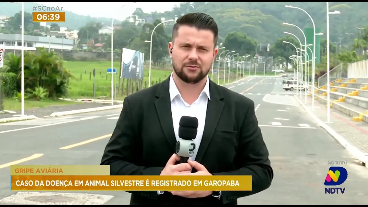 Gripe aviária: caso da doença em animal silvestre é registrado em Garopaba