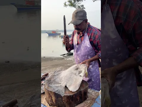 Amazing fish Cutting Vibe Style #vibe #fishcutting #youtubeshorts