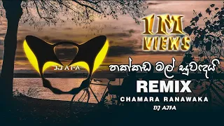 thakkada mal suwadai remix dj aifa