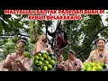 SEBELUM DI TINGGAL MUDIK LAMPUNG PANEN DULU DI KEBUN BELAKANG ‼️ banyak sayuran dan buah buahan‼️